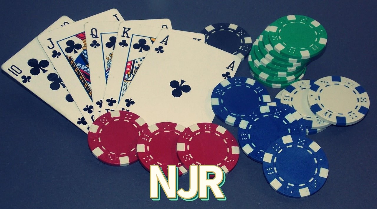 NJR Segurança Logo 3