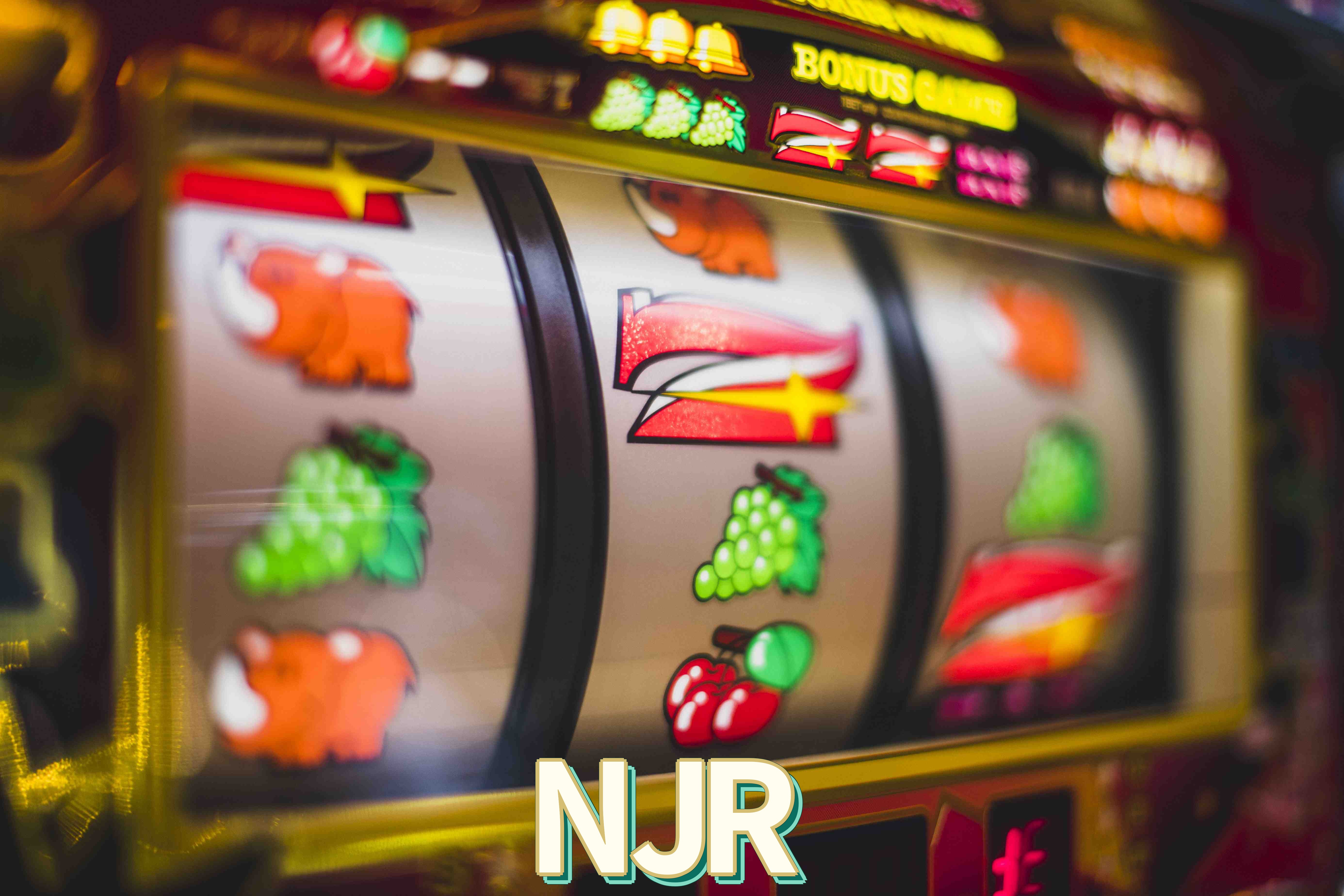 Logo da NJR