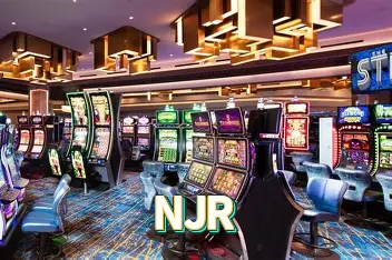 Instalador NJR Windows